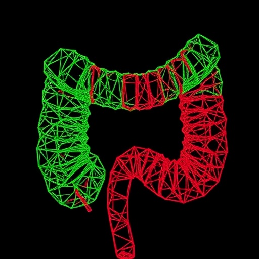 irgd-plga-nanocomplex-targets-colon-cancer-resistance