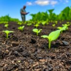 how-biochar-alters-climate-driven-soil-emissions:-the-crucial-role-of-soil-type