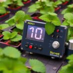 harvest-peak-control-via-strawberry-emulator-in-chambers
