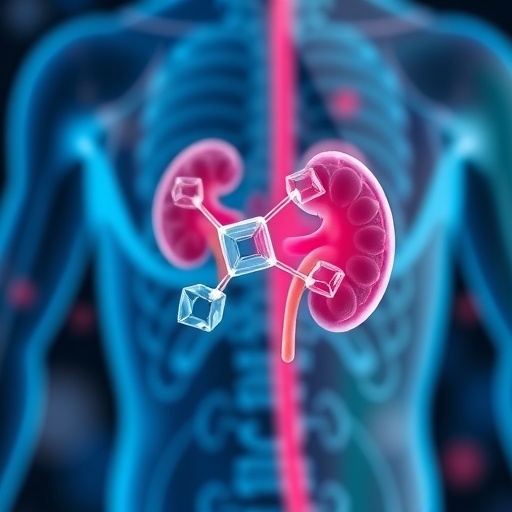 urea-activated-nanocarrier-targets-metabolic-and-kidney-health