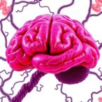 dnajc6-parkinson’s:-endolysosomal,-oligodendrocyte-roles-unveiled