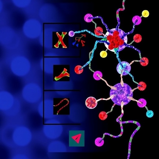 inside-tcf3::hlf-positive-b-all:-clinical-and-molecular-insights