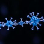 measuring-fitness:-insights-on-individual-phage-particles