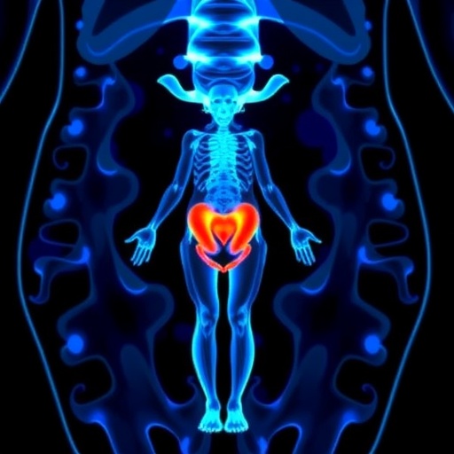 whole-body-mri-predicts-ovarian-cancer-treatment-outcomes