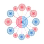 distributed-fusion-framework-predicts-breast-cancer-recurrence