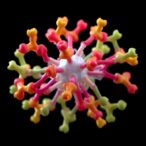 single-molecule-model-unveils-v-atpase-role-in-blastocyst