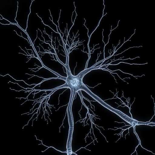 ultrastructural-study-of-dendrites-in-seizure-model