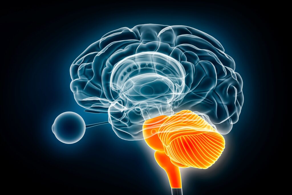 zeto’s-latest-eeg-device-garners-fda-510(k)-clearance-for-outpatient-use