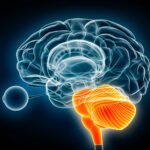 zeto’s-latest-eeg-device-garners-fda-510(k)-clearance-for-outpatient-use