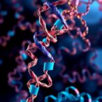 high-resolution-mapping-of-androgen-receptor-variants