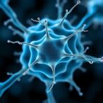 bioabsorbable-si-mg-cells-boost-nerve-regeneration