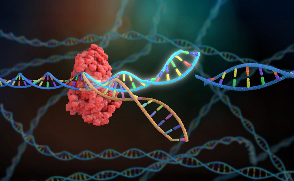 crispr-at-25:-the-past,-present,-and-future-of-genome-editing