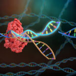 crispr-at-25:-the-past,-present,-and-future-of-genome-editing