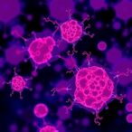 tumor-granulocytes-and-nets-in-colorectal-cancer