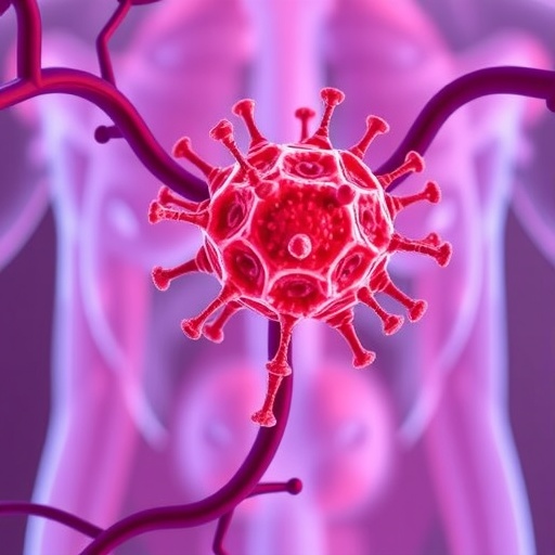 researchers-uncover-mechanisms-of-key-immune-cells-in-prostate-protection