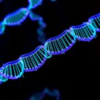 enhancing-prime-editing-with-engineered-non-canonical-pegrnas