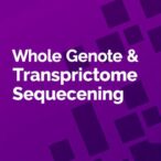 whole-genome-&-transcriptome-sequencing:-costing-guide