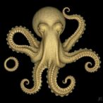 scans-reveal-‘oldest-octopus’-fossil-is-not-an-octopus-after-all