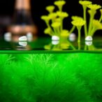 retraction:-algae-copper-nanocatalyst-in-wastewater-treatment