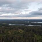 young-forest-owners-in-finland-face-challenges-balancing-their-values