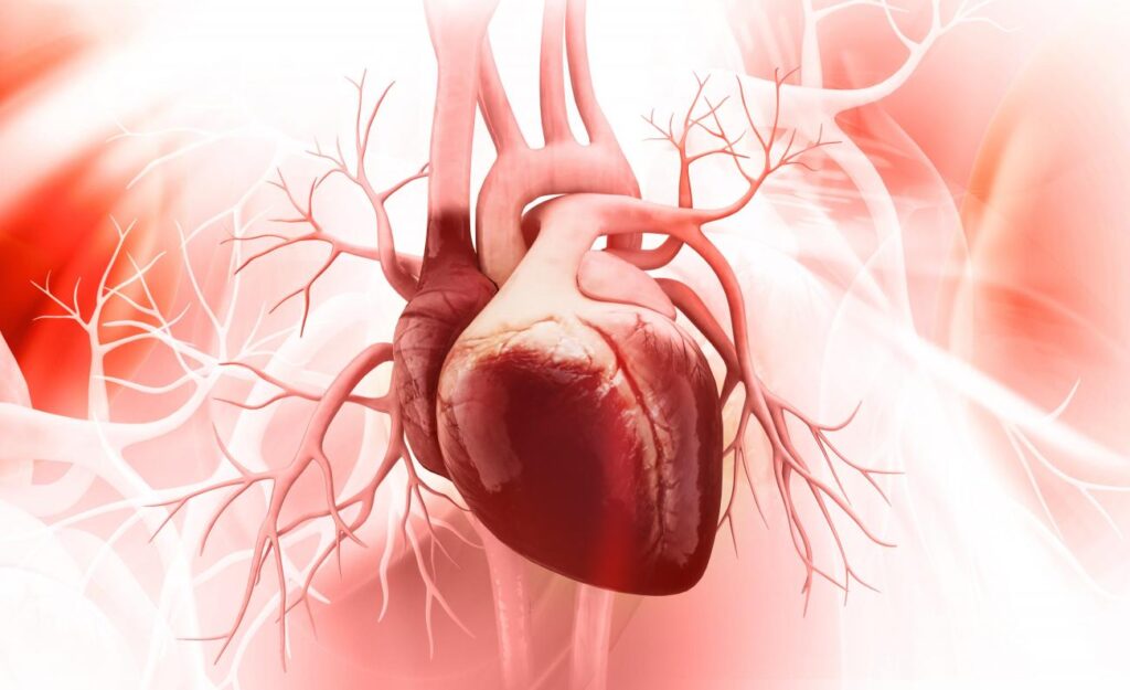 artivion-nabs-pma-clearance-for-aortic-stent-graft-system,-triggers-endospan-buyout-option