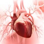 artivion-nabs-pma-clearance-for-aortic-stent-graft-system,-triggers-endospan-buyout-option