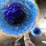 new-single‑cell-platform-tracks-rna-and-protein-in-immune-signaling