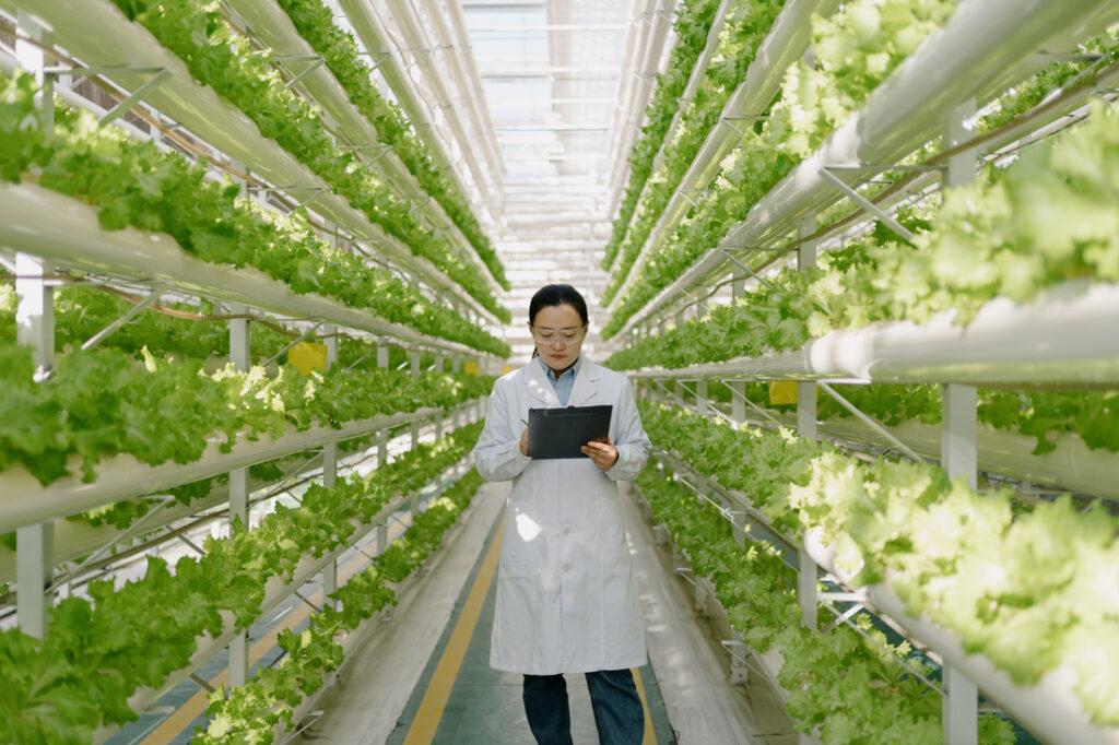 plant-molecular-farming-comes-of-age