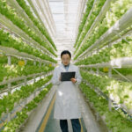 plant-molecular-farming-comes-of-age