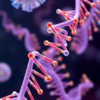 vaxlab:-fast,-integrated-mrna-vaccine-design-platform