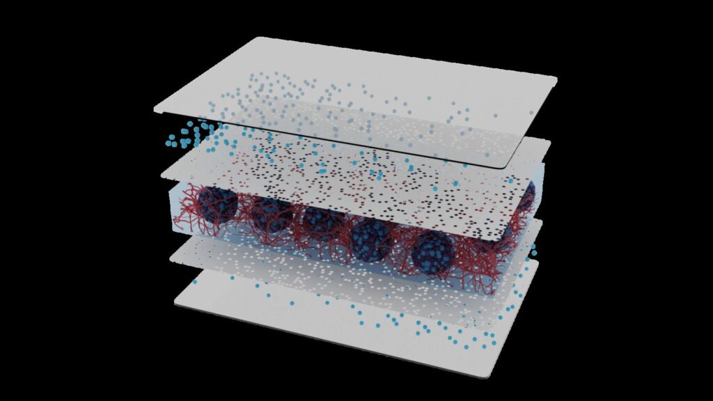 organ-on-chip-integrated-into-preclinical-glioblastoma-research