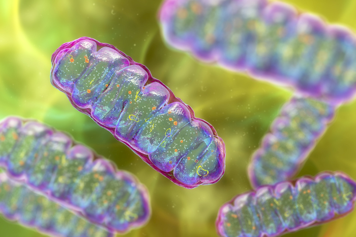 scalable-embryonic-stem-cell-platform-enables-mitochondrial-dna-research-in-mice