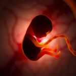 single-cell-atlas-of-maternal–fetal-interface-sheds-light-on-pregnancy-complications