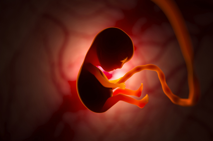 single-cell-atlas-of-maternal–fetal-interface-sheds-light-on-pregnancy-complications