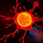 gsk3α-regulates-stemness-across-stem-cell-states