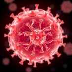 skin’s-hidden-prep:-how-cells-‘pre-learn’-to-boost-regeneration-before-injury
