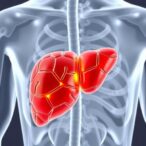 coenzyme-q10-shields-liver-from-atorvastatin-damage