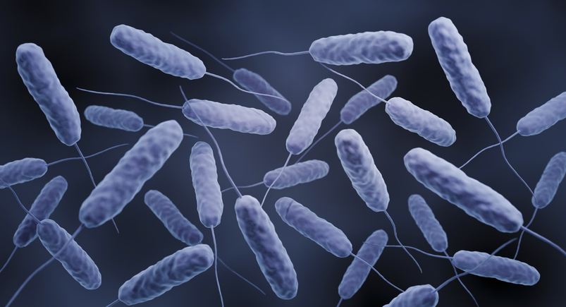 dna-uptake-in-cholera-may-increase-defense-mechanisms