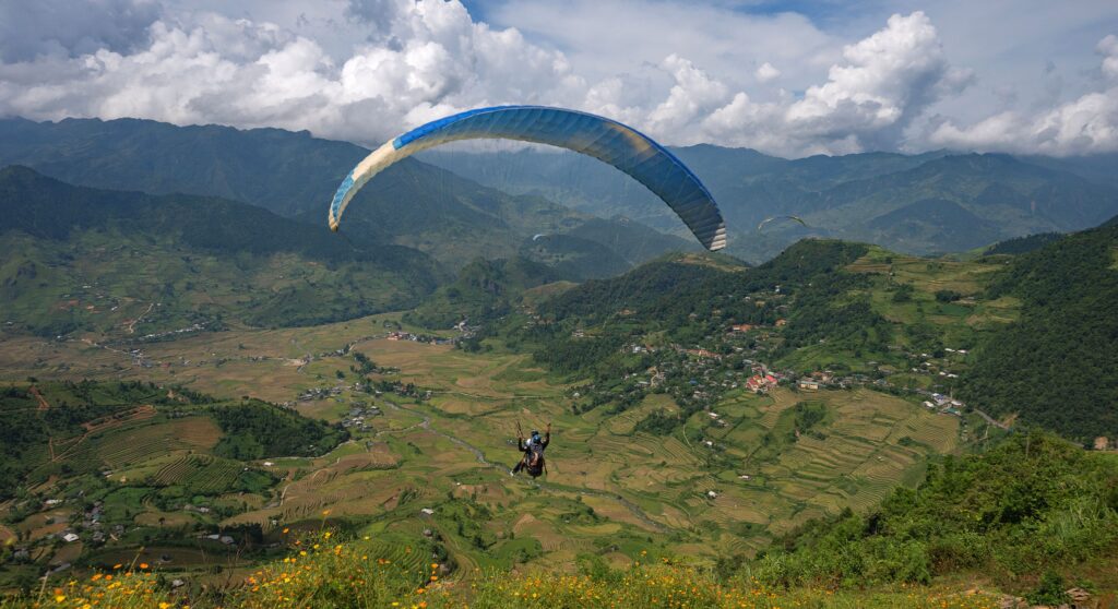 chutes-&-ladders—former-treefrog-ceo-leaps-to-orano-med
