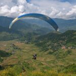 chutes-&-ladders—former-treefrog-ceo-leaps-to-orano-med