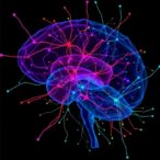 targeting-striatal-interneurons-to-slow-parkinson’s-progression