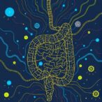 how-your-housemates-might-be-altering-your-gut-microbiome