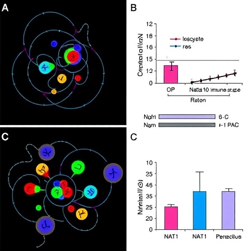nat10-drives-cisplatin-resistance,-immune-escape-in-gastric-cancer
