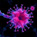 breakthrough-discoveries-in-focal-adhesion-kinase-pave-the-way-for-advanced-cancer-treatments