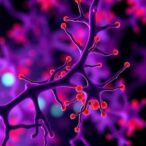 pseudogene-derived-lncrnas:-key-players-in-cancer-stem-cells