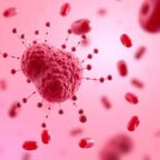 menstrual-blood-derived-particles:-a-new-frontier-in-osteoarthritis-treatment