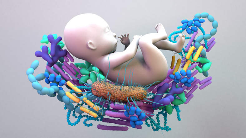 epigenetics-at-birth-links-microbiome-to-neurodevelopment,-potentially-asd-and-adhd