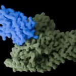 cryo-em-structural-biology-facility-opened-in-san-diego-by-fairjourney-bio