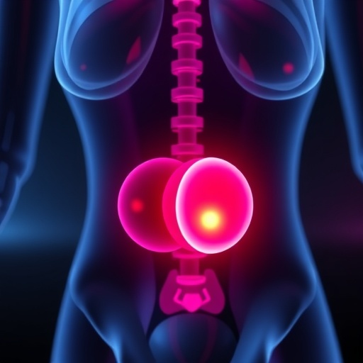 bisphenol-s-and-female-reproductive-toxicity-reviewed