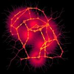 single-cell-map-reveals-immune-crosstalk-in-cholangitis